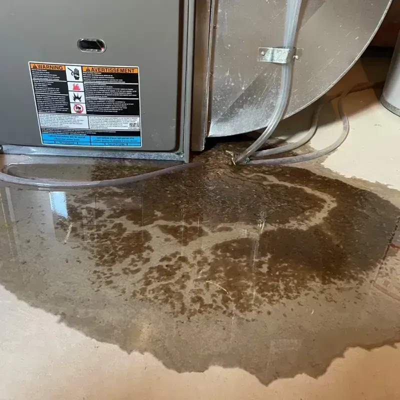 Appliance Leak Cleanup in Weaverville, CA